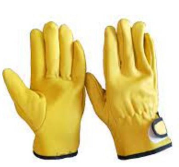 Driver Gloves